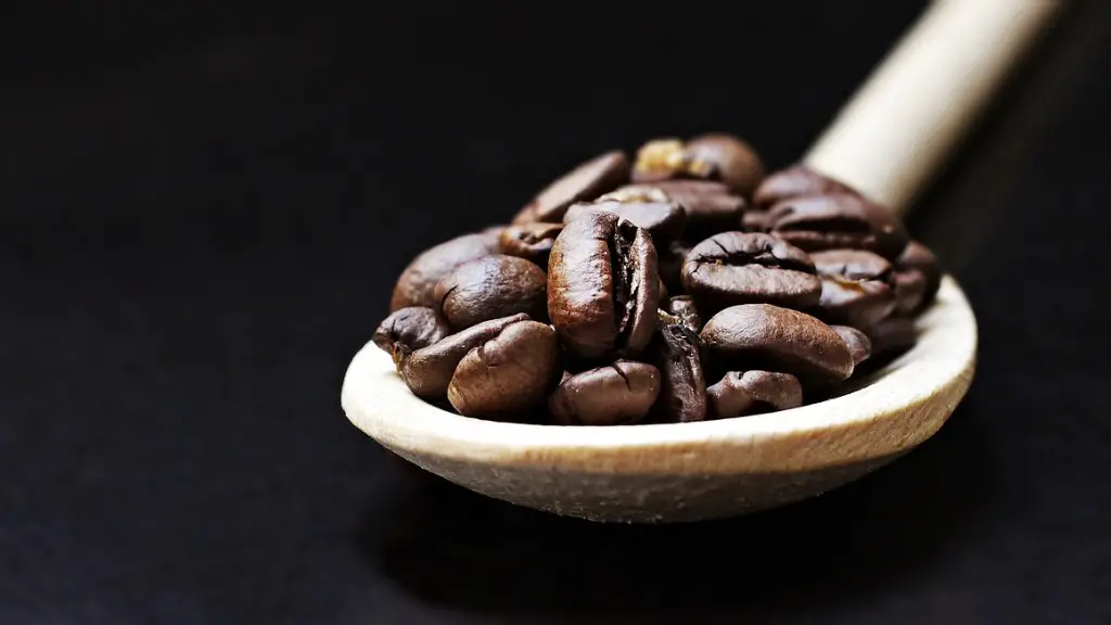 Can’t you see that we belong coffee shop?