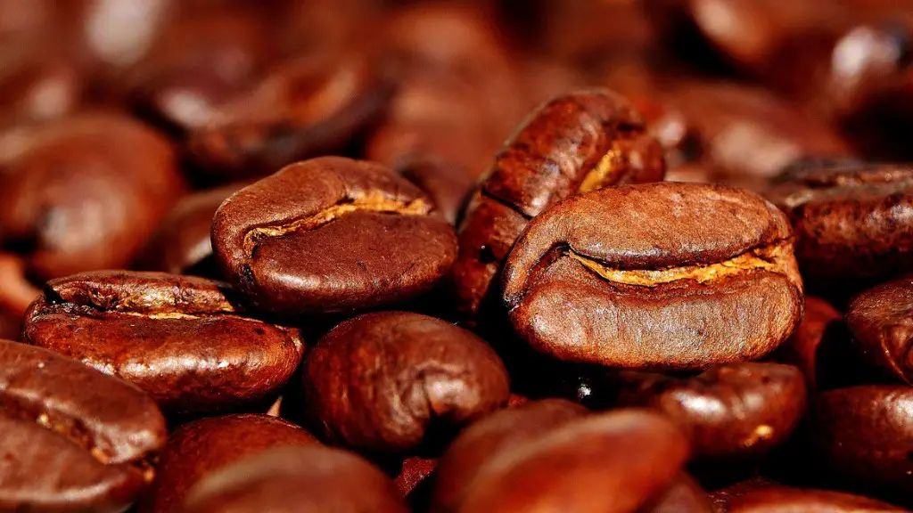How do i start my own coffee shop business?