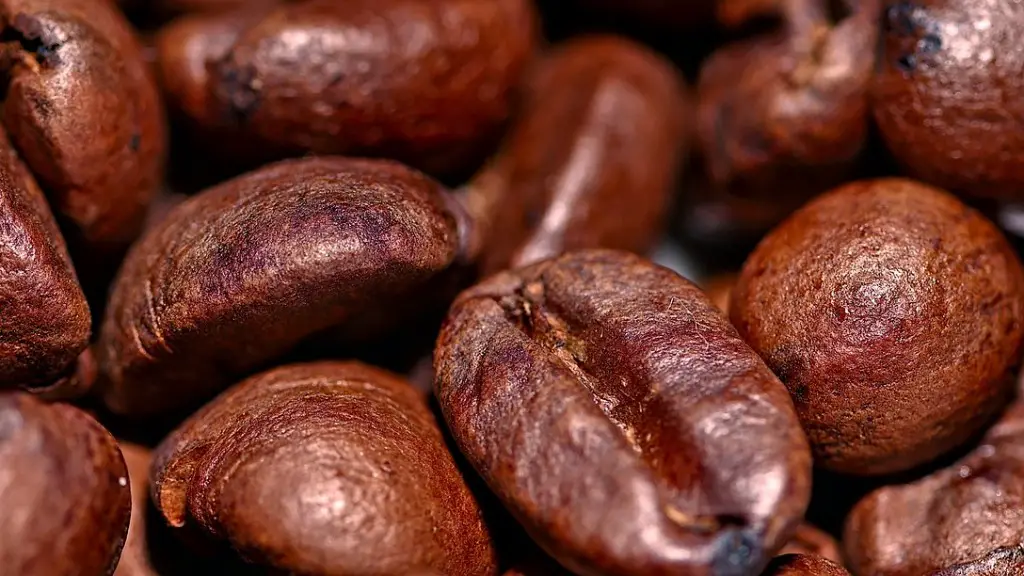 How many employees should a coffee shop have?